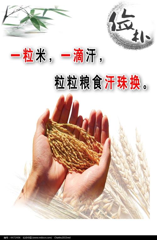本科毕业证书尺寸